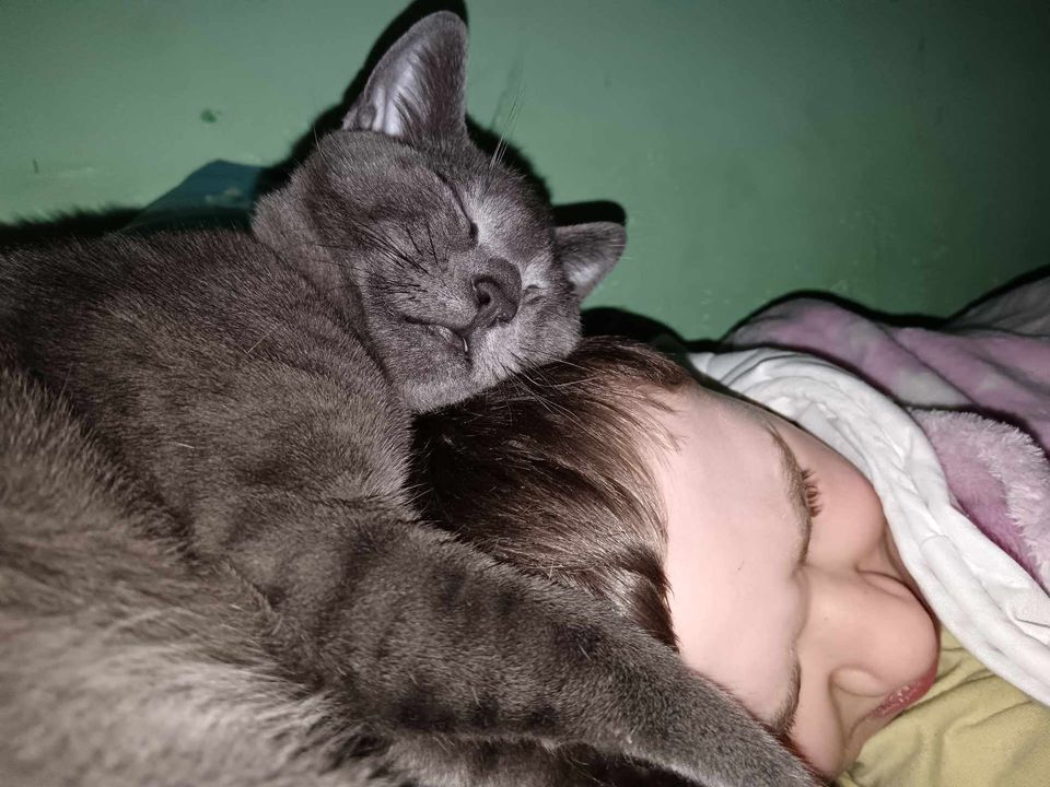 Provjerite tko su naj ljubimci 2024. godine!