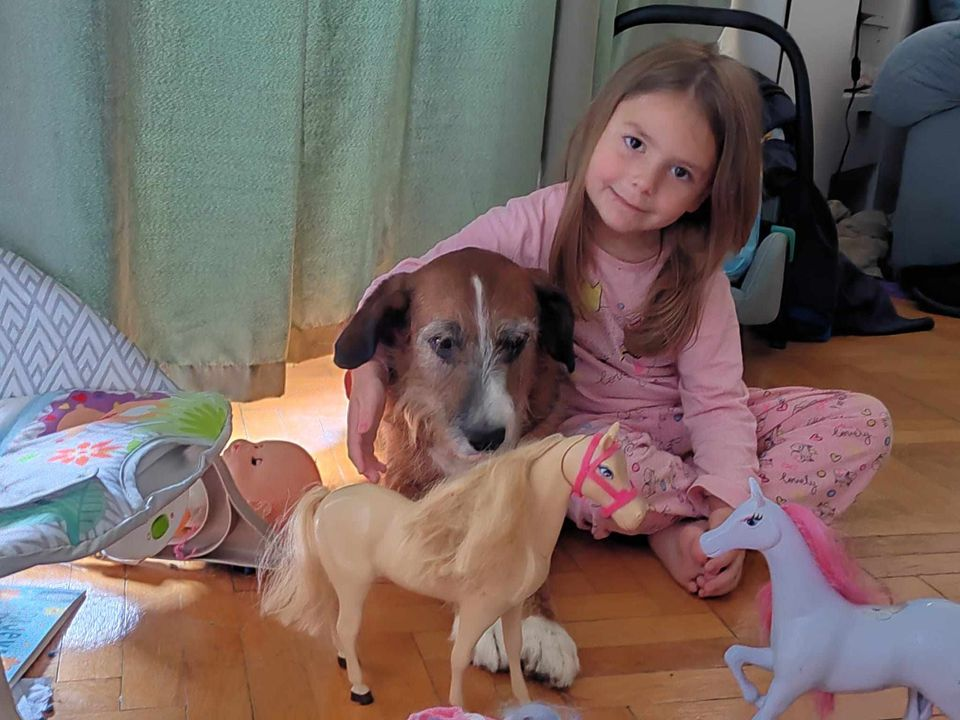 Provjerite tko su naj ljubimci 2024. godine!