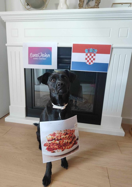 Provjerite tko su naj ljubimci 2024. godine!