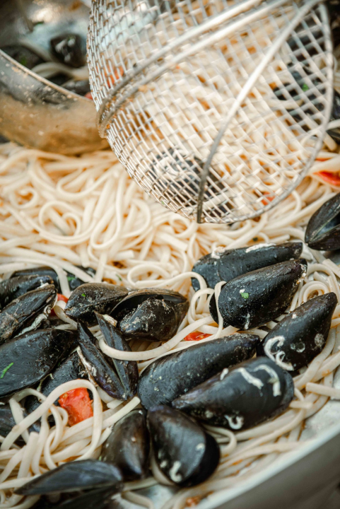 Zbog jednog skladnog para trg ispred Županije i ove je godine pun