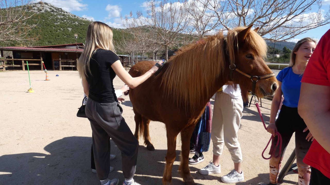 Učenici tri šibenske srednje škole prošli ‘tragovima srednjovjekovnog Šibenika’ 