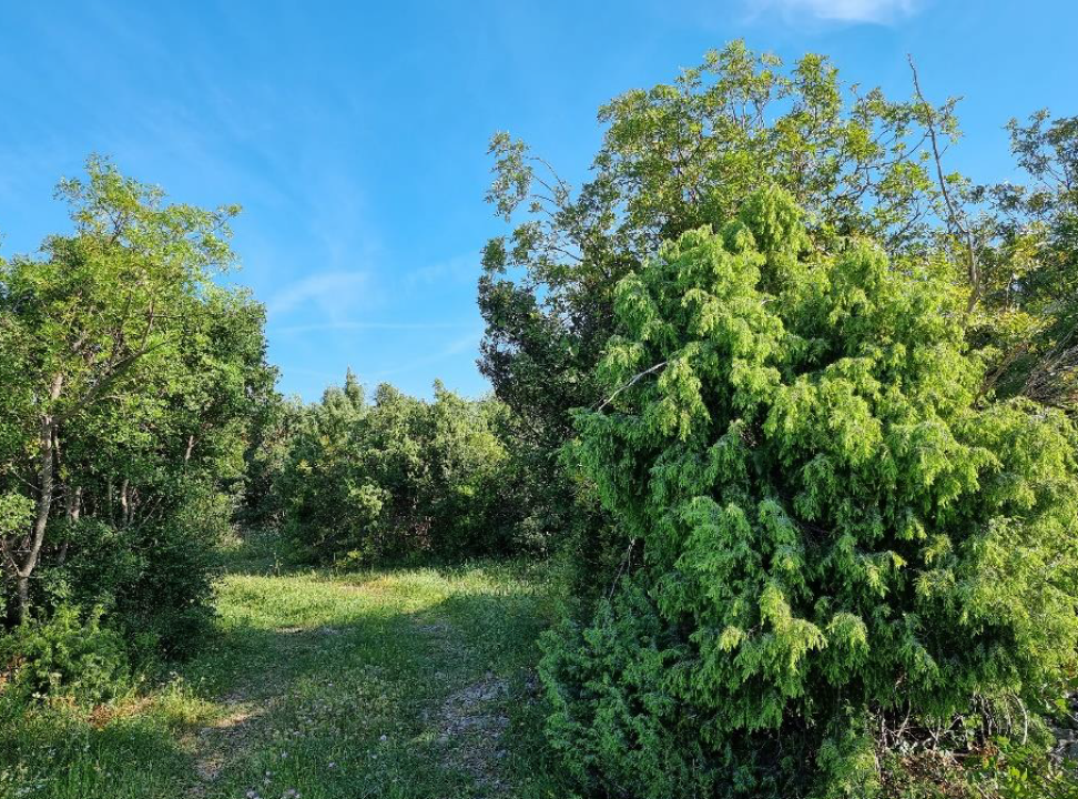 Izgradnja šibenskog krematorija ušla u novu fazu, a poznato je i kako će izgledati