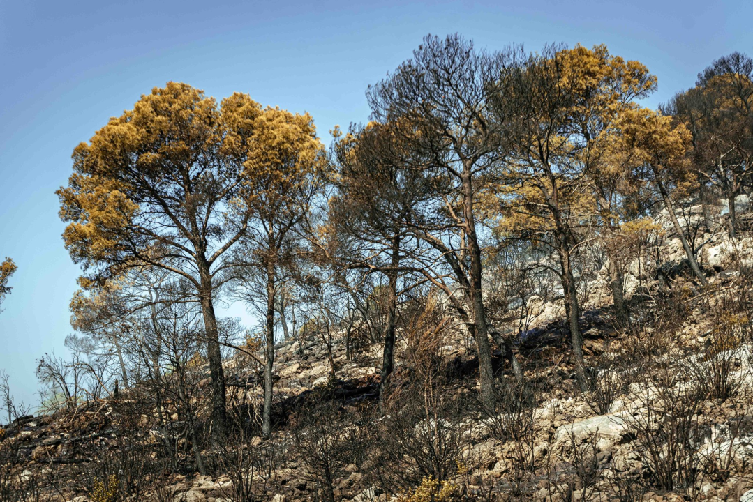 Vatrogasci natapaju požarište u Rokićima, promet se odvija usporeno 