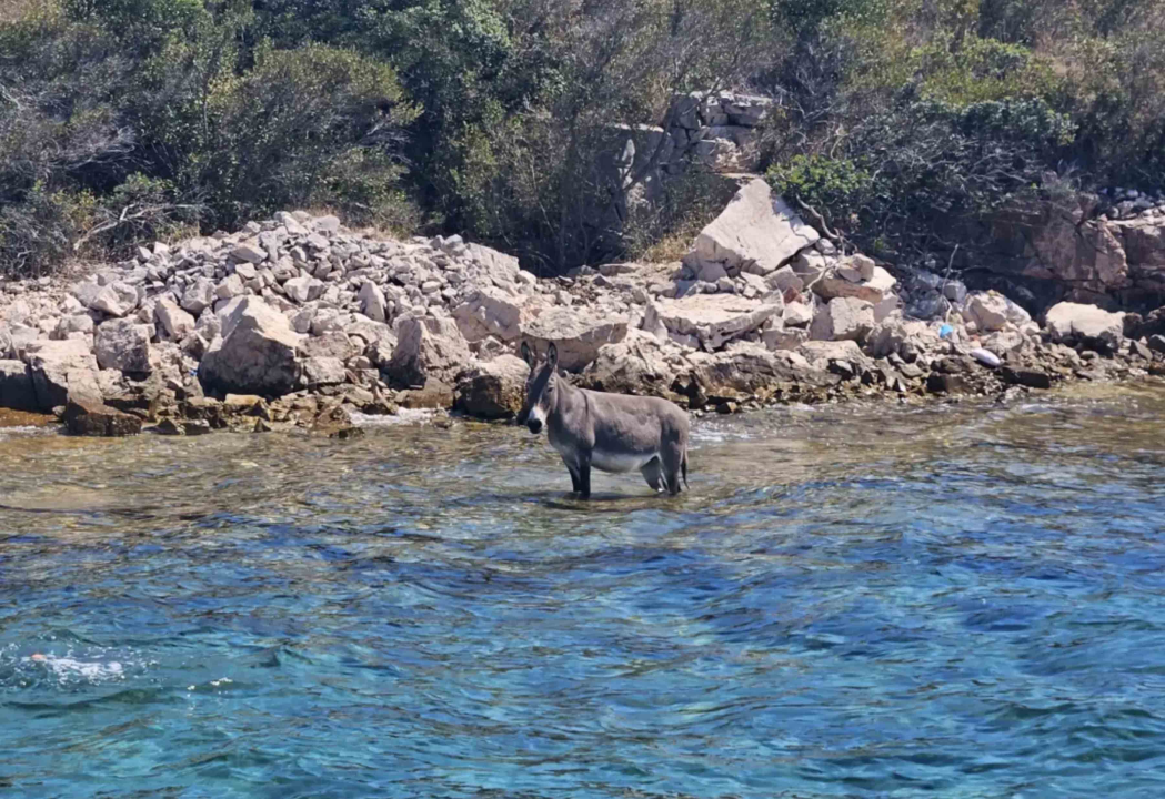 ‘Deceptive Simplicity’ Jerko Jurin Quarteta na Baroneu ili suvremeni jazz s elektronskim teksturama 