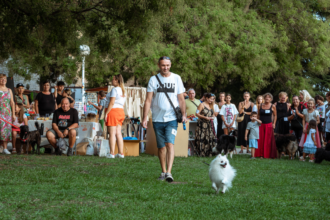 Šibenske šape rođendan proslavile izložbom pasa, tombolom i kvizom