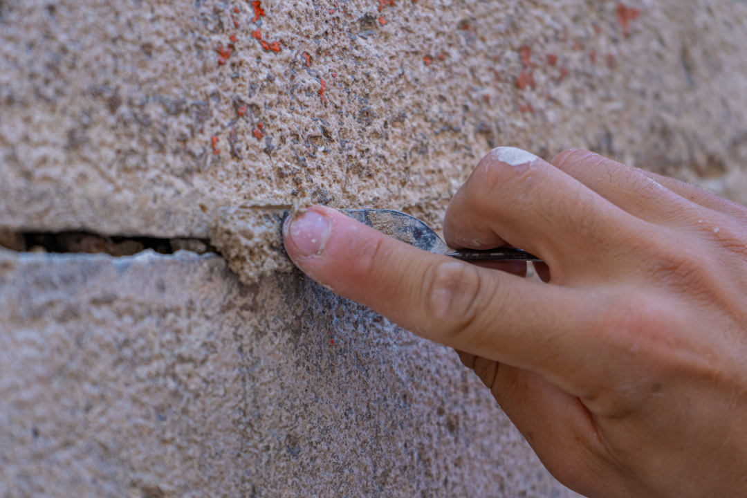 Uspješno završen trodnevni #ConserveUs festival Šibenik 2024