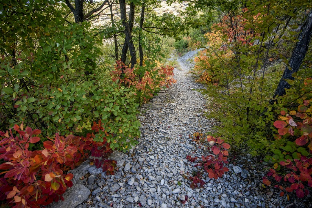 Najšarmantniji dio godine u NP Krka provedite uz promotivnu cijenu ulaznica
