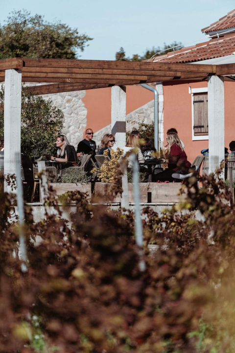 Jesenske delicije u vinariji: Marendavanje u vinariji Baraka nadomak Šibenika