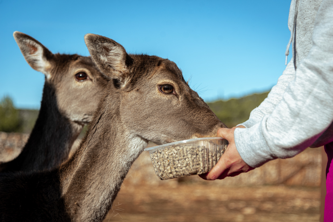 Jelena, Nina i Srećko oduševe svakoga tko posjeti Happy Horse u Dubravi