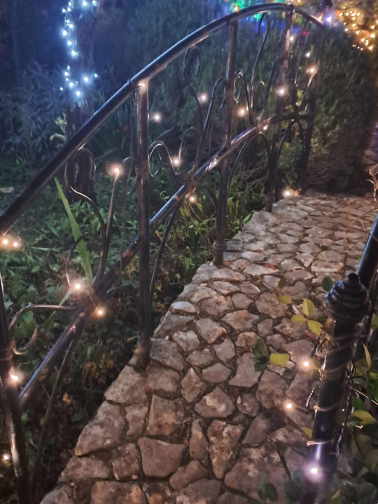 Božićni vrt obitelji Vlahov oduševljava: Blista s 27 tisuća lampica