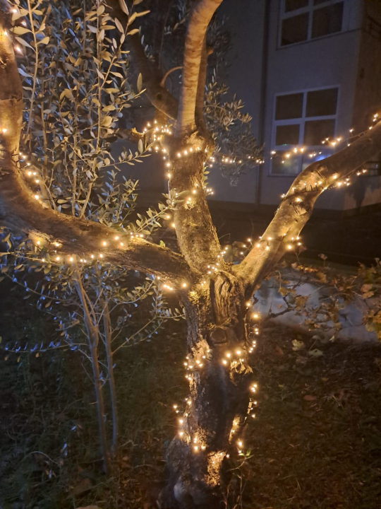 Božićni vrt obitelji Vlahov oduševljava: Blista s 27 tisuća lampica