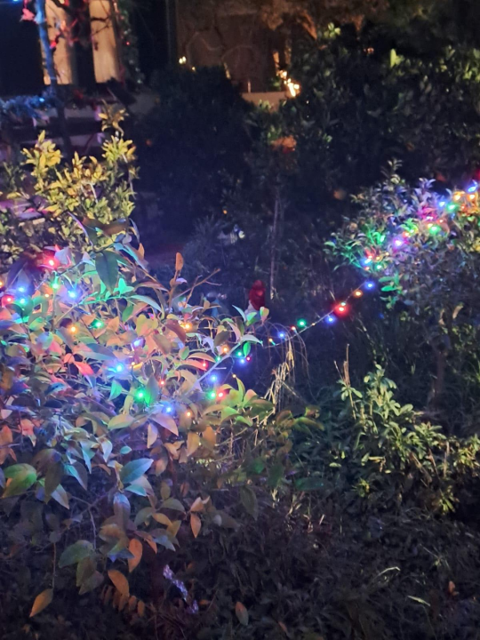 Božićni vrt obitelji Vlahov oduševljava: Blista s 27 tisuća lampica