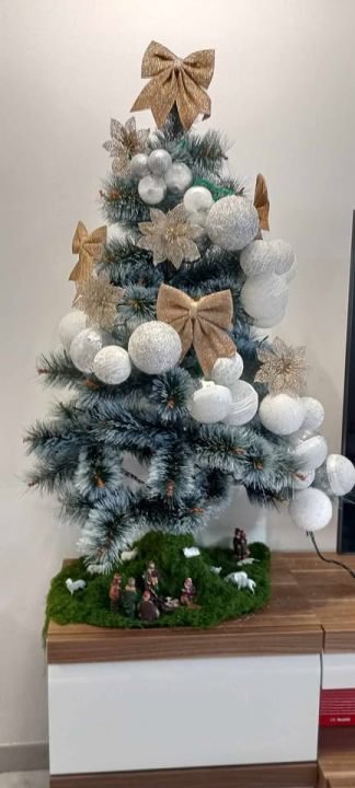 Provjerite tko su pobjednici izbora za naj jelku!