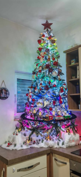 Provjerite tko su pobjednici izbora za naj jelku!