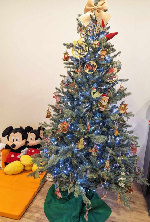 Provjerite tko su pobjednici izbora za naj jelku!