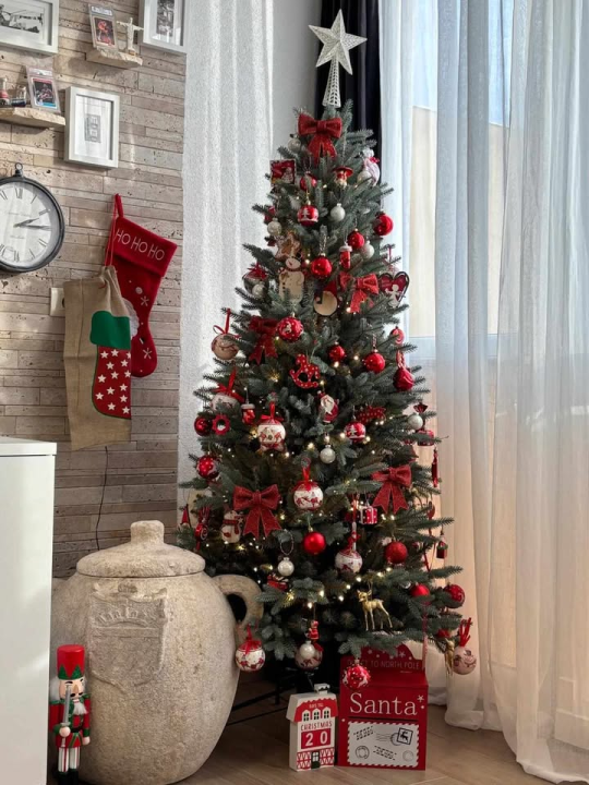 Provjerite tko su pobjednici izbora za naj jelku!