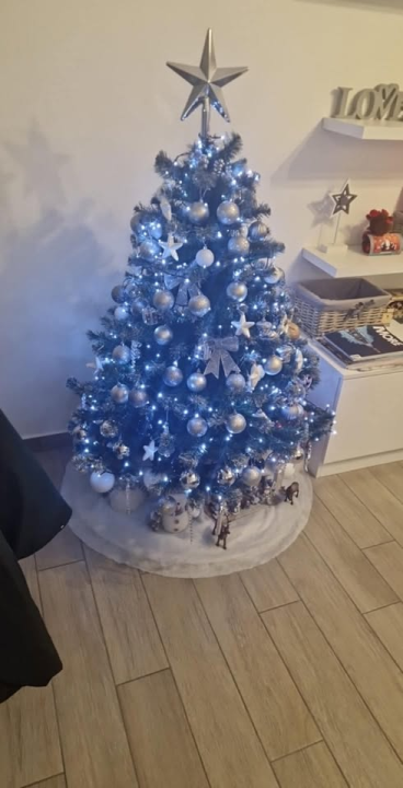 Provjerite tko su pobjednici izbora za naj jelku!