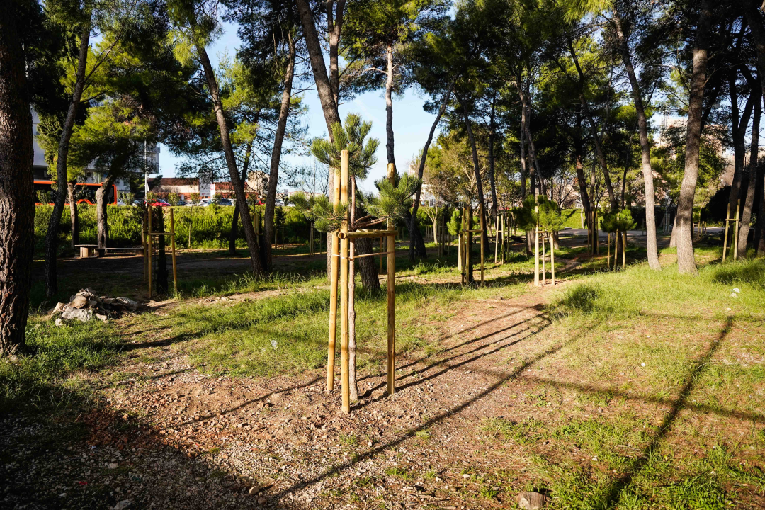 Radovi na trim stazi u Rasadniku počinju kroz deset dana: U prvoj fazi uređena tri igrališta za petanku