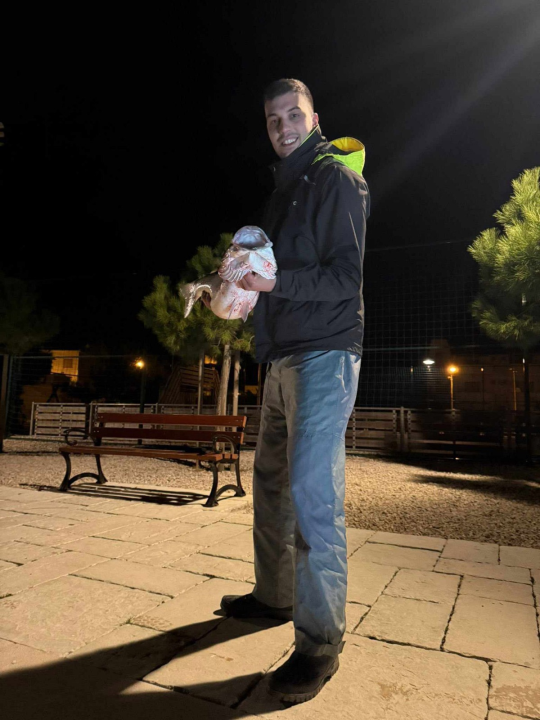 Rekordni ulov: Brancin od 8 kilograma ulovljen na sviću kod Srime