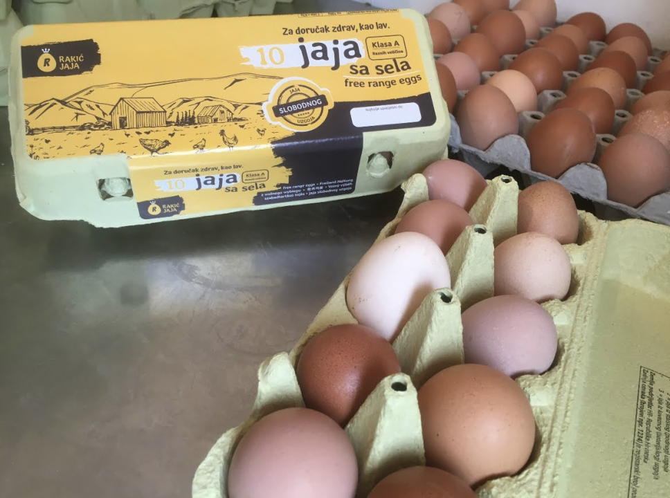 'Halo Jaja': Od koka do vaše kuhinje u najkraćem mogućem roku!