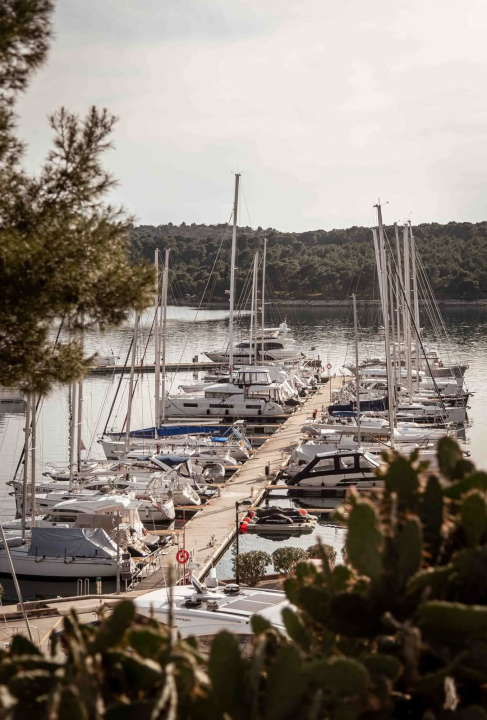Mandalina - pomorska oaza Šibenika