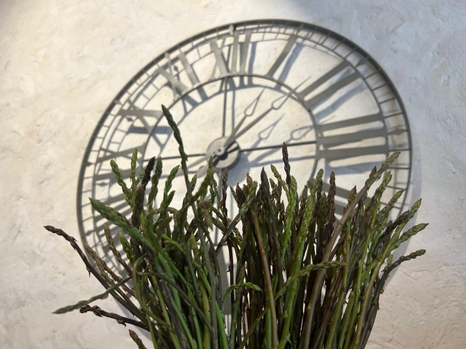 FOTO Dani šparoga u Bavi