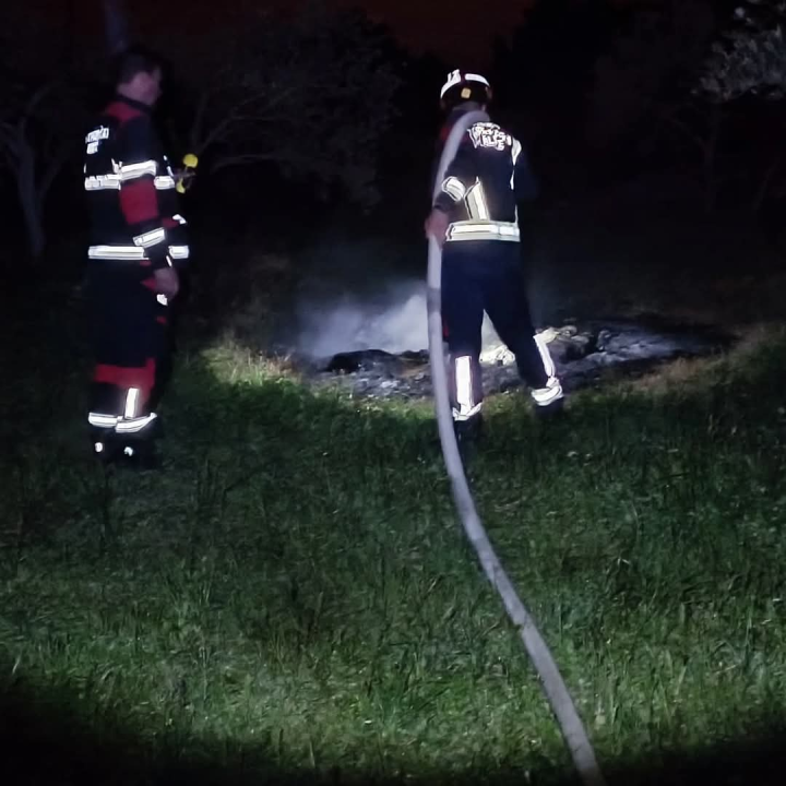 Bilički vatrogasci u nedjelju navečer gasili požar u masliniku