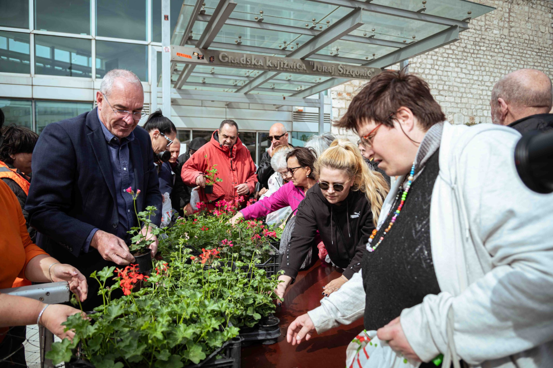 Održana tradicionalna akcija podjele sadnica u Šibeniku