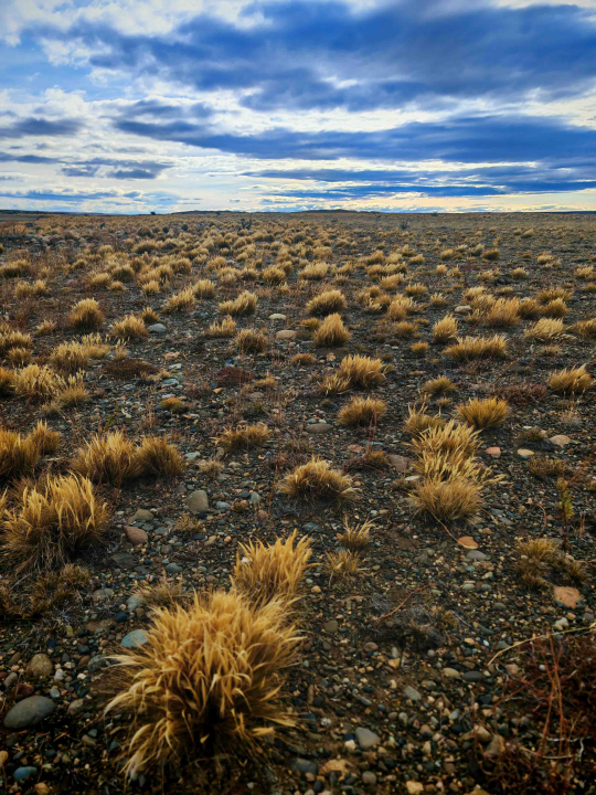 Veliki Gogo, prvi Šibenčanin na Antarktici: 'Skočio sam u more dva puta, a pingvini baš i ne mirišu najbolje'