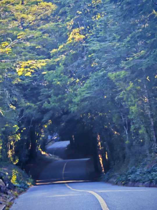 Veliki Gogo, prvi Šibenčanin na Antarktici: 'Skočio sam u more dva puta, a pingvini baš i ne mirišu najbolje'