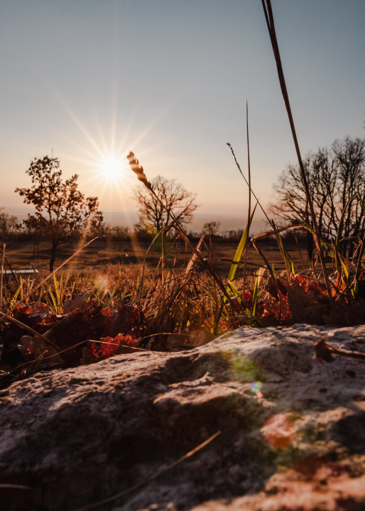 Dan šibensko-kninske županje: Iznimna prirodna ljepota, bogata kulturna baština i povijest