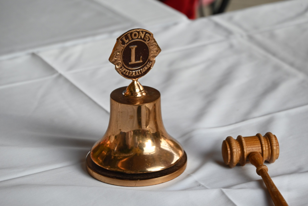 Nova energija i novi uspjesi: Žene po prvi put u redovima šibenskih Lionsa