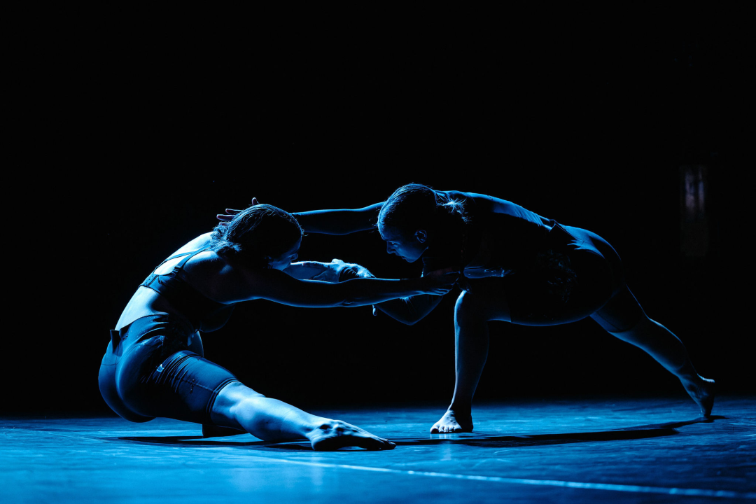 Govor tijela jači od riječi: Večer snažnih poruka na Šibenik Dance Festivalu