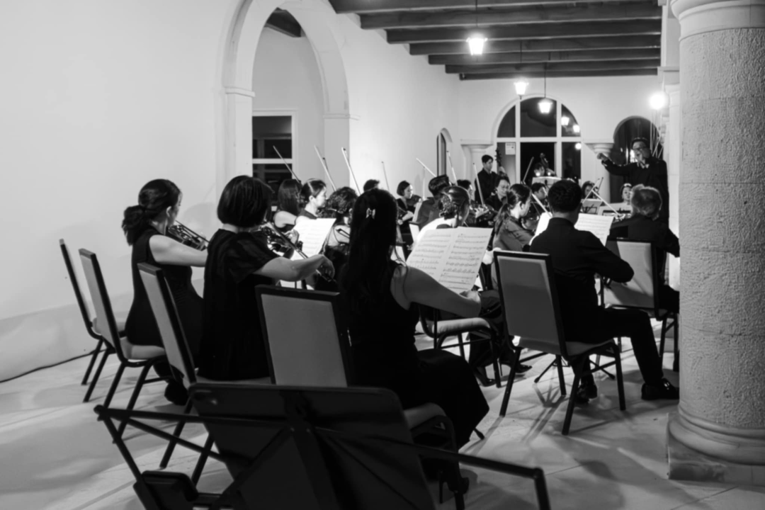 Koncert u Amadria parku