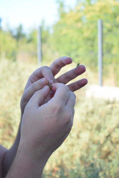 Mladi čuvari prirode: Junior Ranger grupa okupila se u Eko kampusu 'Krka' Puljani