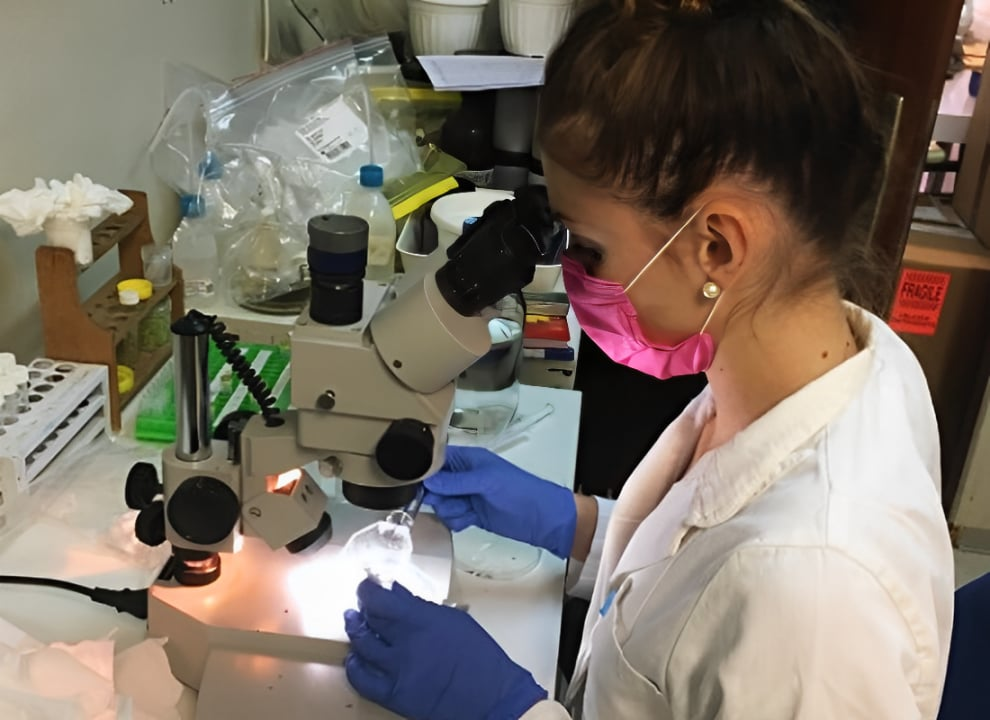  Znanstvenice s Ruđera dešifrirale genetsku tajnu parazita iz Krke koji 'usisava' teške metale