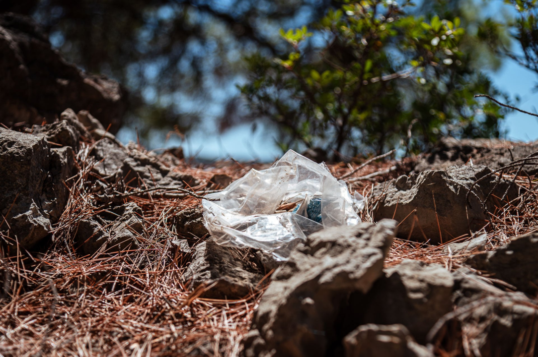 Smeće umjesto ljetne idile na stjenovitoj plaži u Brodarici