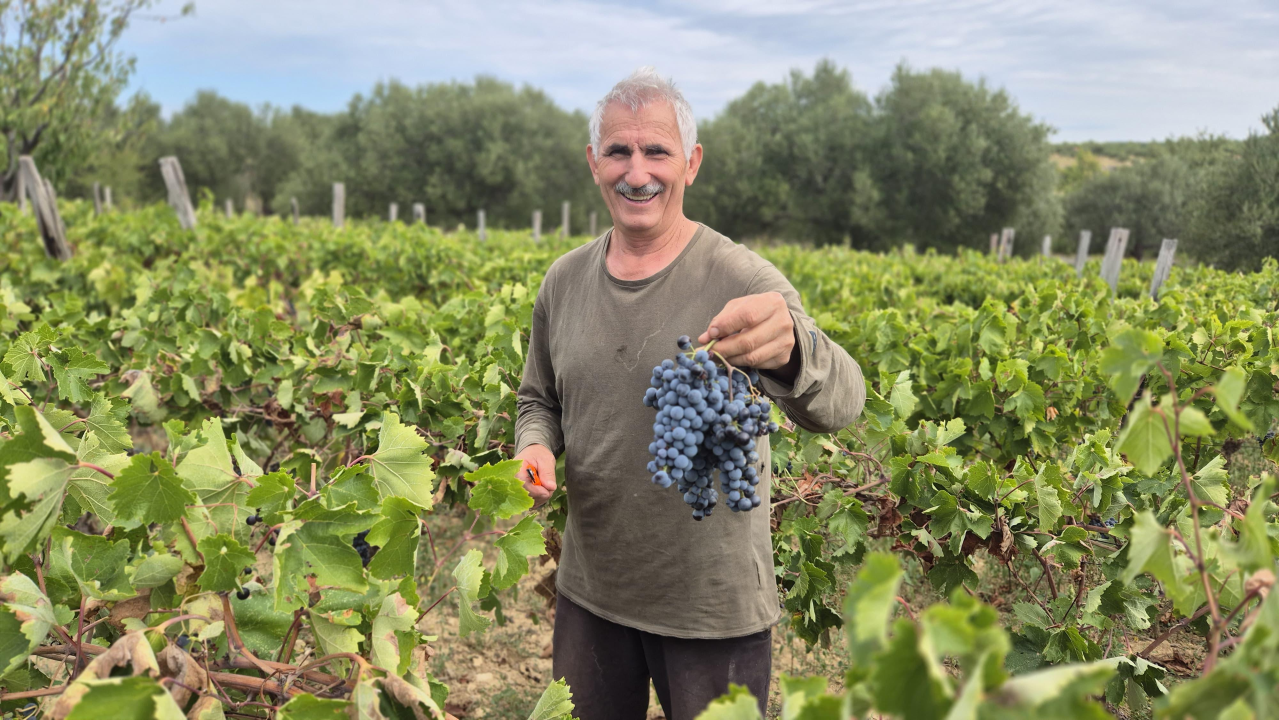 OPG Mate Sladića nastavlja djedovu priču