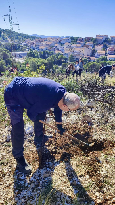  Održana prva od tri akcije pošumljavanja Šubićevca
