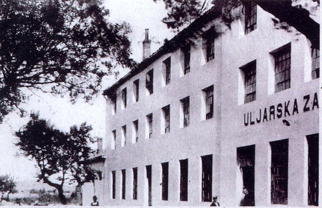 Kapi masline i gušti života: Gurmanske priče s Murtera i Kurnata