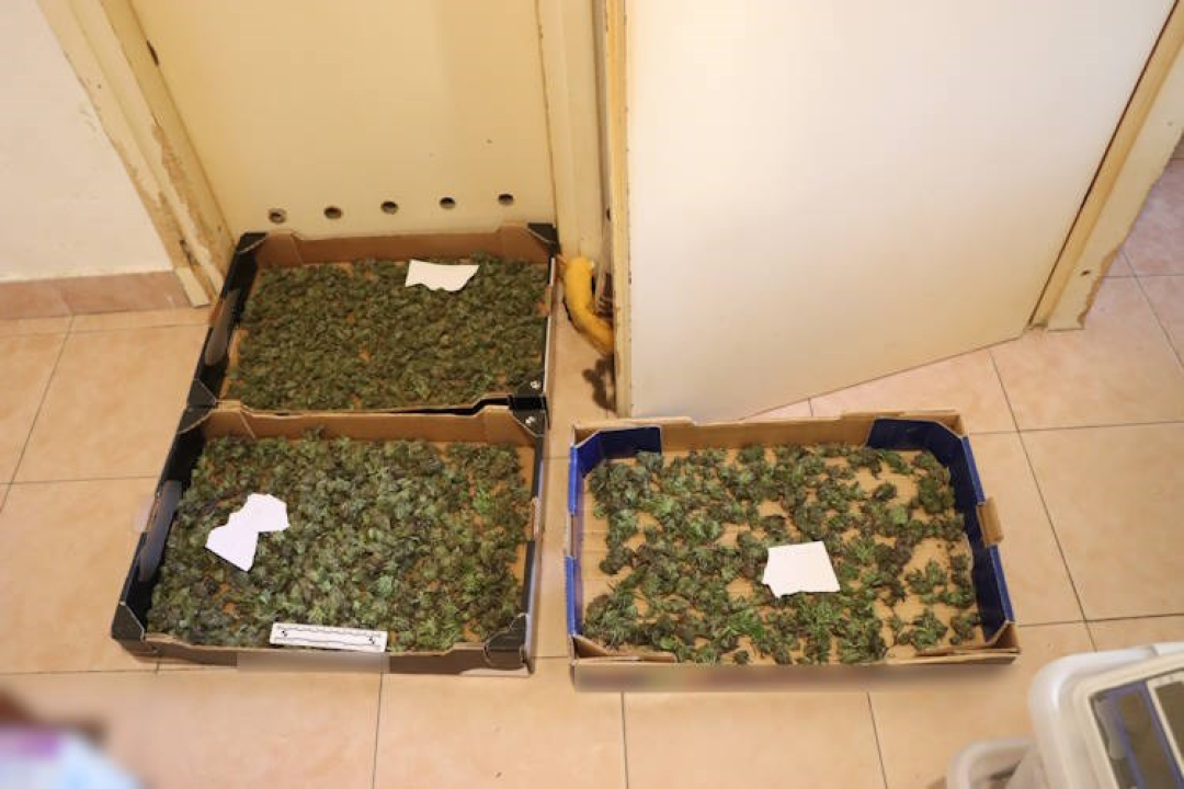 Mirovina nije dovoljna: Pretragom stana 70-godišnjaka pronađeno 4 kilograma marihuane