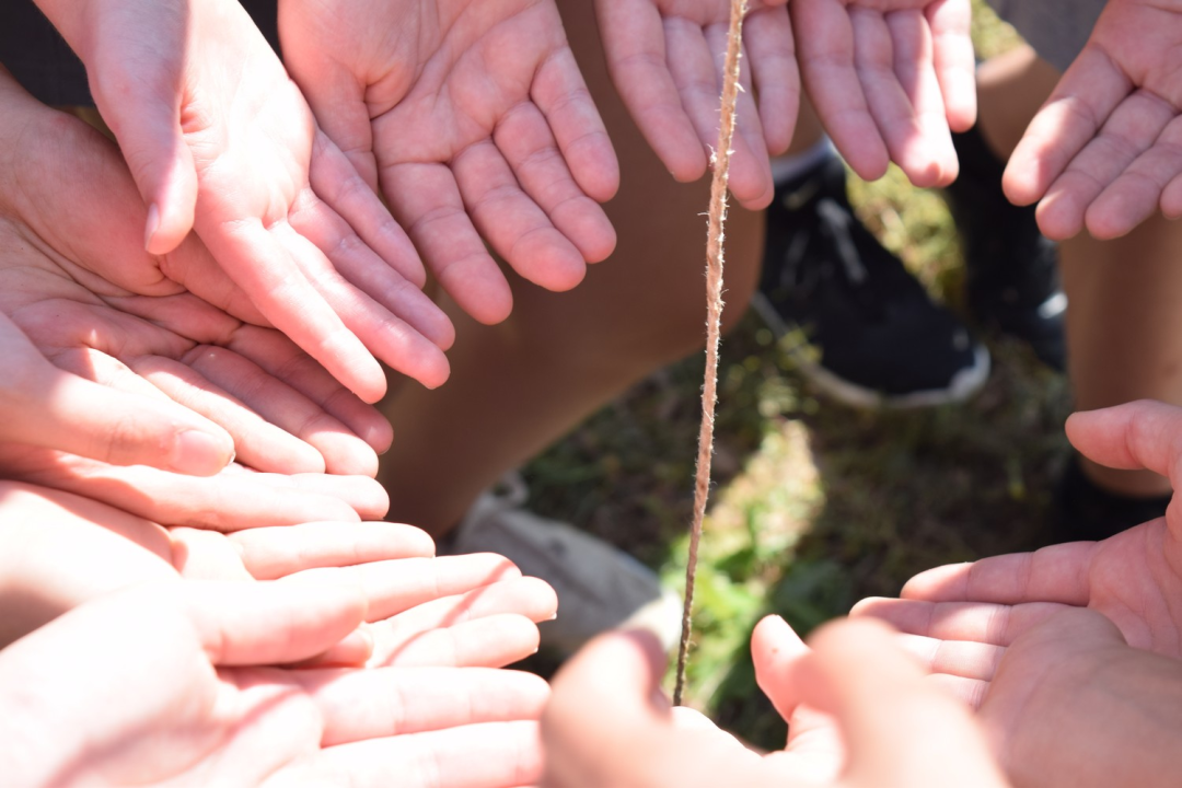 NP Krka prednjači u provođenju edukativnih programa za djecu i mlade