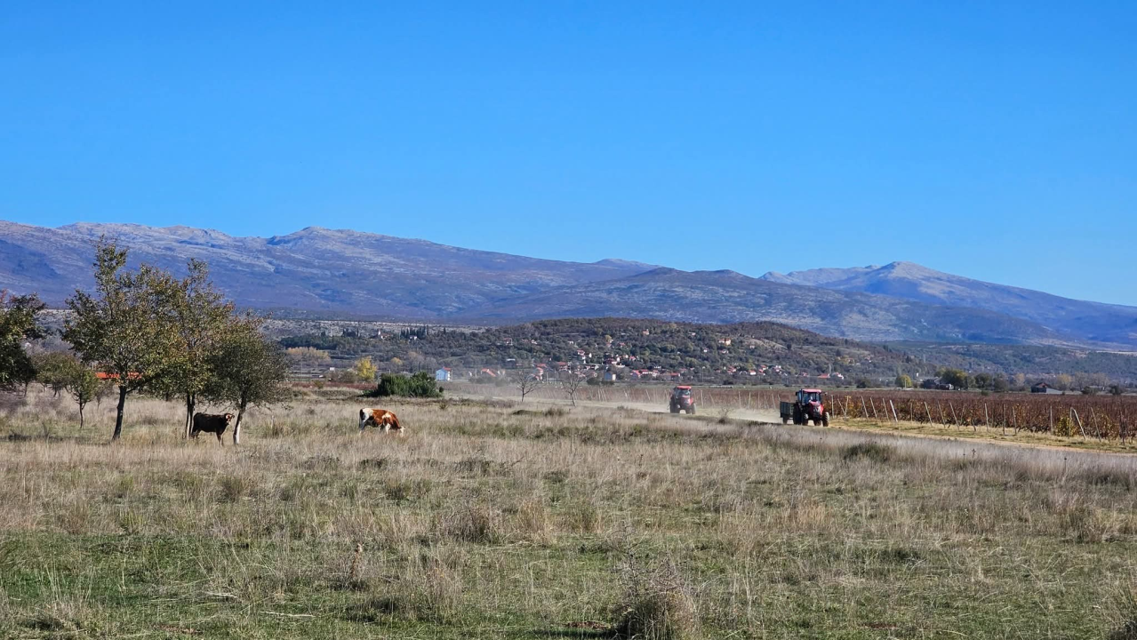 Drniško zaleđe u jesenskim bojama