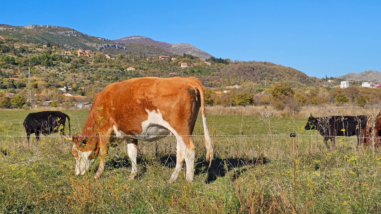 Drniško zaleđe u jesenskim bojama