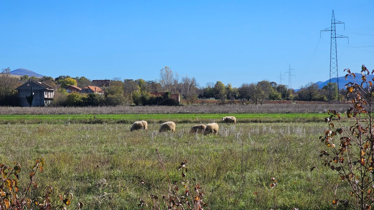 Drniško zaleđe u jesenskim bojama