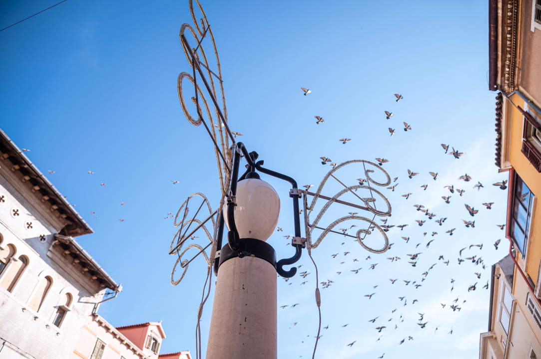 Počelo blagdansko ukrašavanje: Evo koliko je eura Grad Šibenik uložio u ovogodišnje dekoracije