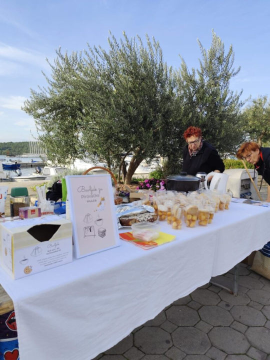 Pirovački buvljak za sterilizaciju i kastraciju mačaka