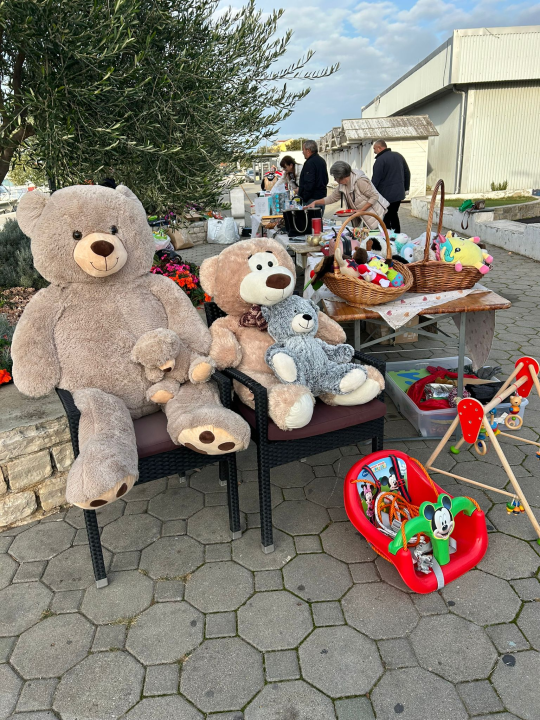 Pirovački buvljak za sterilizaciju i kastraciju mačaka