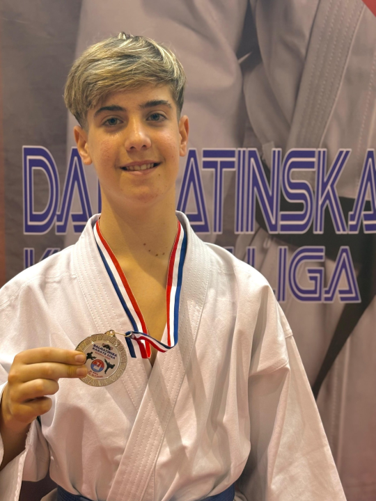 Dalmatinska karate liga