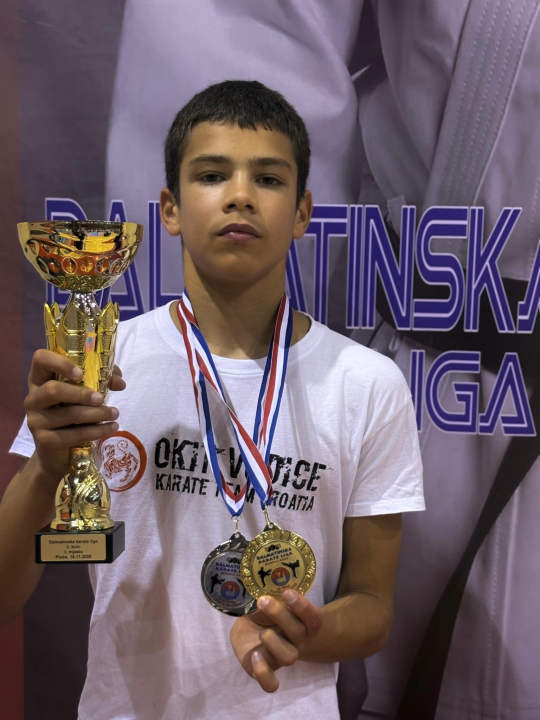 Dalmatinska karate liga